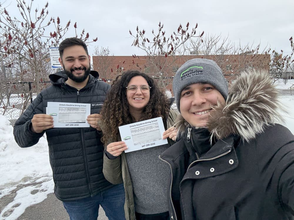 Professional Driving Instructors Ontario